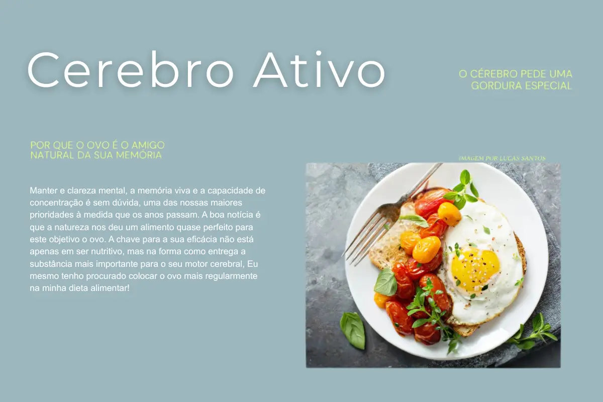 O Segredo do Cérebro Ativo: por que o ovo é o amigo natural da memória